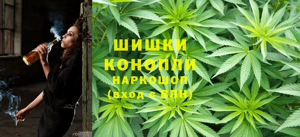 сатива Богородицк