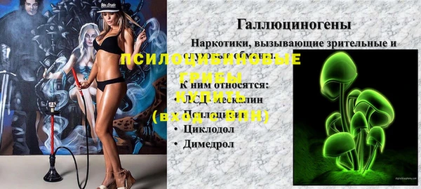 сатива Богородицк