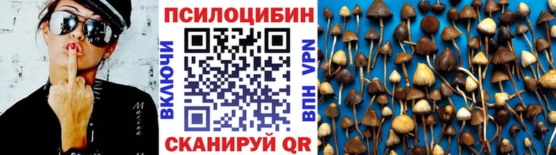 Псилоцибиновые грибы прущие грибы  ссылка на мегу ссылка  Электрогорск  дарнет шоп 